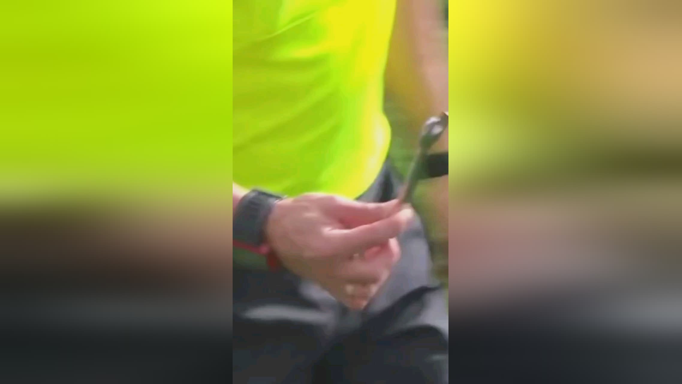 将西